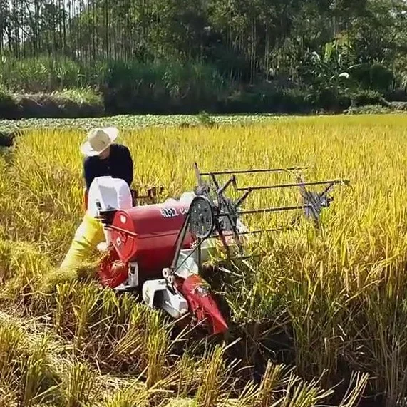Automatyczna kombajn do zbioru – Combine Harvester Mini recenzja i cena